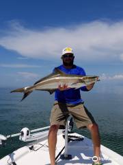 Jimmys Fishing Charters