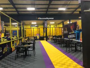 Flexzone Jumping Park Reynosa
