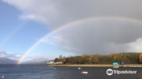 Loch Lomond National Nature Reserve (Inchcailloch)