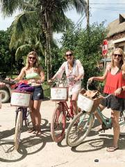 Bikes Holbox - Bike Rental Holbox