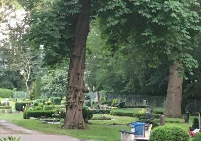 Friedhof Dorf Mecklenburg - Cintorin