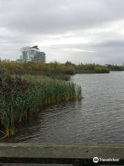 Cardiff Bay Wetlands Reserve