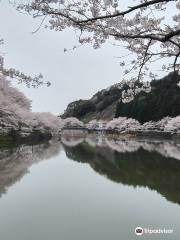 Niwaki Dam