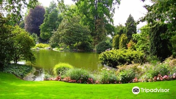 Jardin des plantes d'Angers