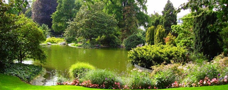Jardin des plantes d'Angers