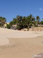 Playa el Chileno