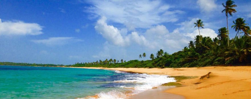 Los Tubos Beach