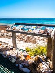 Abrolhos Islands