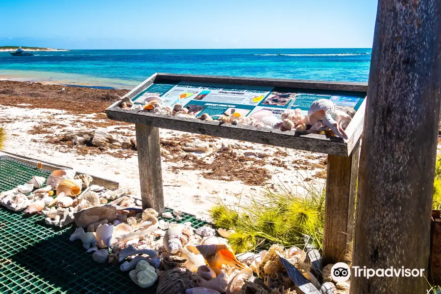 Abrolhos Islands