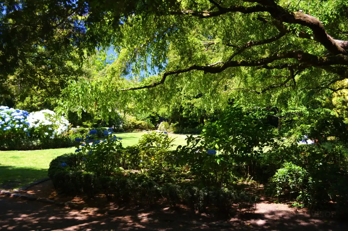 Hotel in zona Parsons Gardens