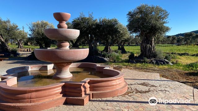 Robledo Family Winery