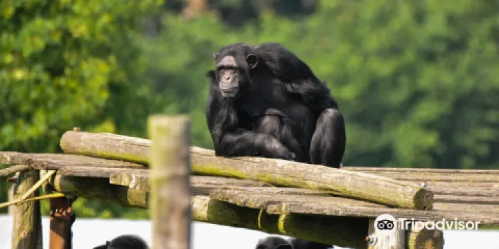 Fundació Mona, Centre de Recuperacio de Primats