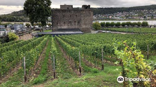 Rheingau Wine Museum Broemserburg Castle