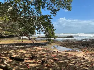 Playa Bonita