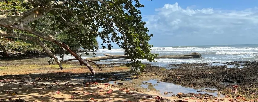 Playa Bonita