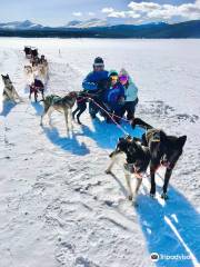Alpine Adventures Dogsledding