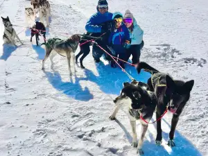 Alpine Adventures Dogsledding