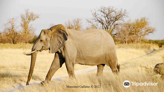 Chobe