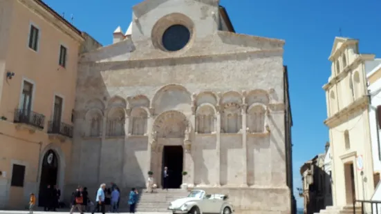 Cathedral of Saint Mary of the Purification