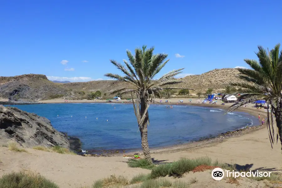 Playa de Percheles