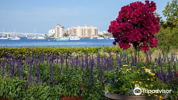Marie Selby Botanical Gardens Downtown Sarasota