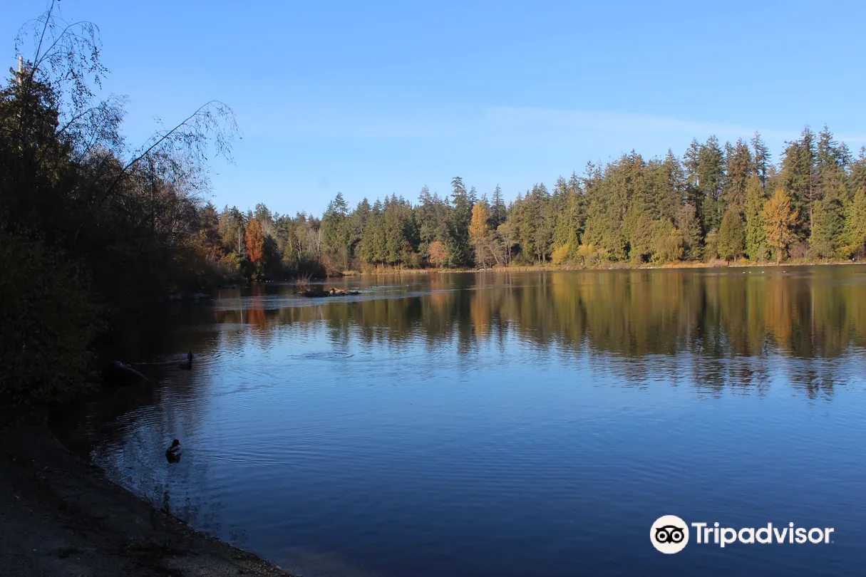 5_Lost Lagoon, Stanley Park
