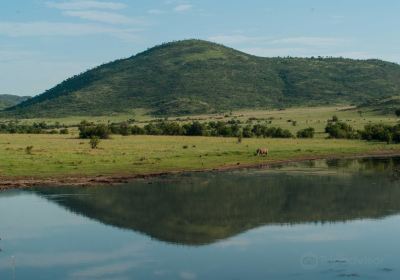 Bhubeza Safaris