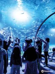 Funtastic Aquarium İzmir