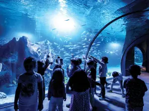 Funtastic Aquarium İzmir