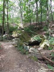 Deer Lick Cave