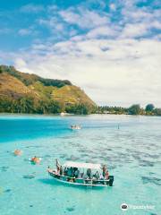 Enjoy Boat Tours Moorea