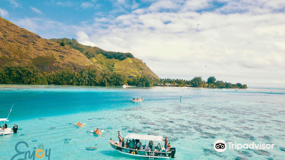 Enjoy Boat Tours Moorea