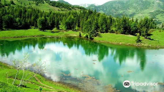 Mtirala National Park