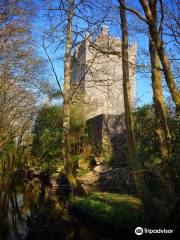 Aughnanure Castle