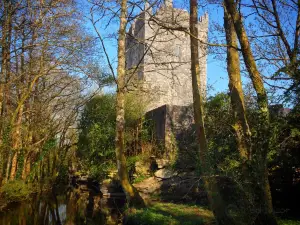 Aughnanure Castle