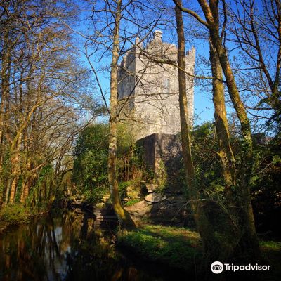 Aughnanure Castle