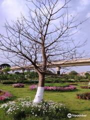 Botanic Garden of Indian Republic