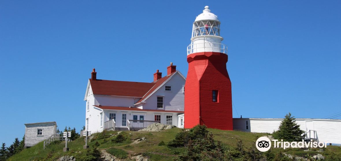 Things to Do in Crow Head in 2024 Top Attractions, Local Food, Hotels