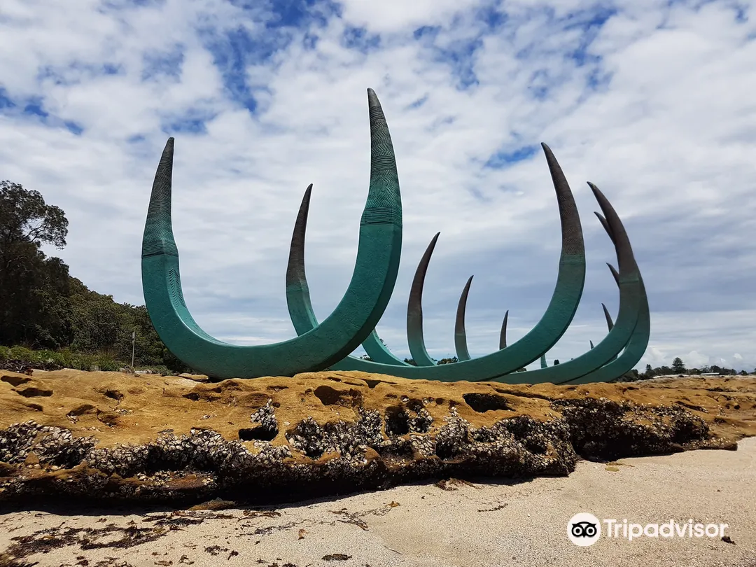 3_Captain Cooks landing place