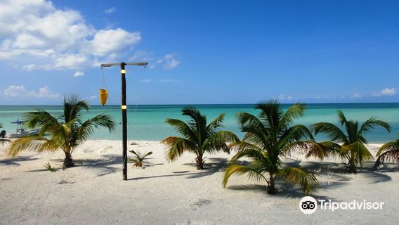 Cozumel