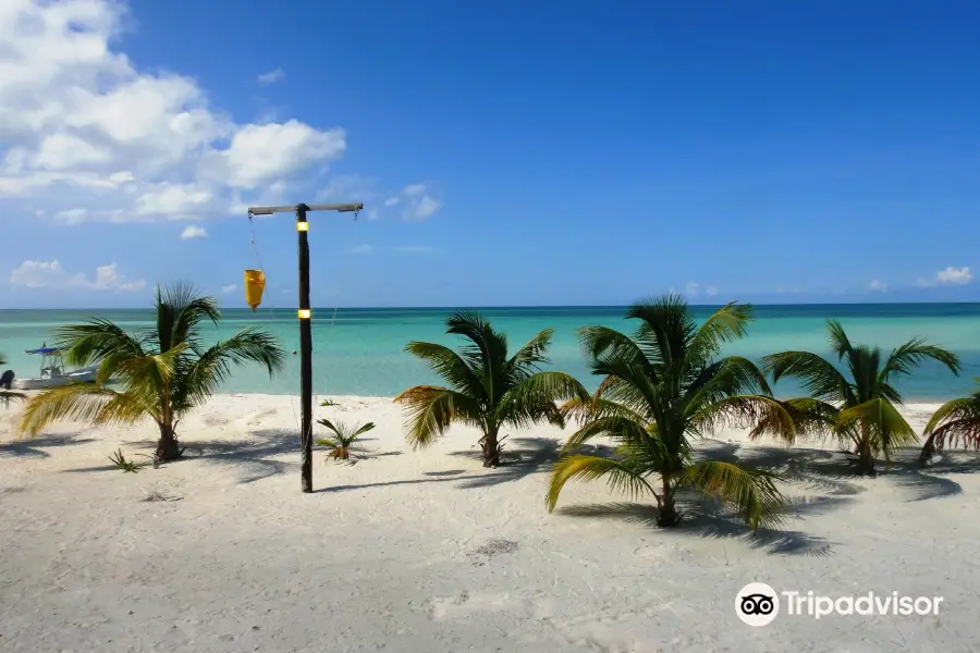 Cozumel Pearl Farm