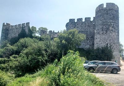 Chateau de Rochemaure