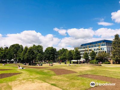 Montpellier Gardens