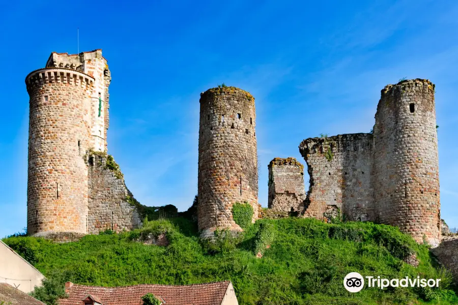 Château d'Hérisson