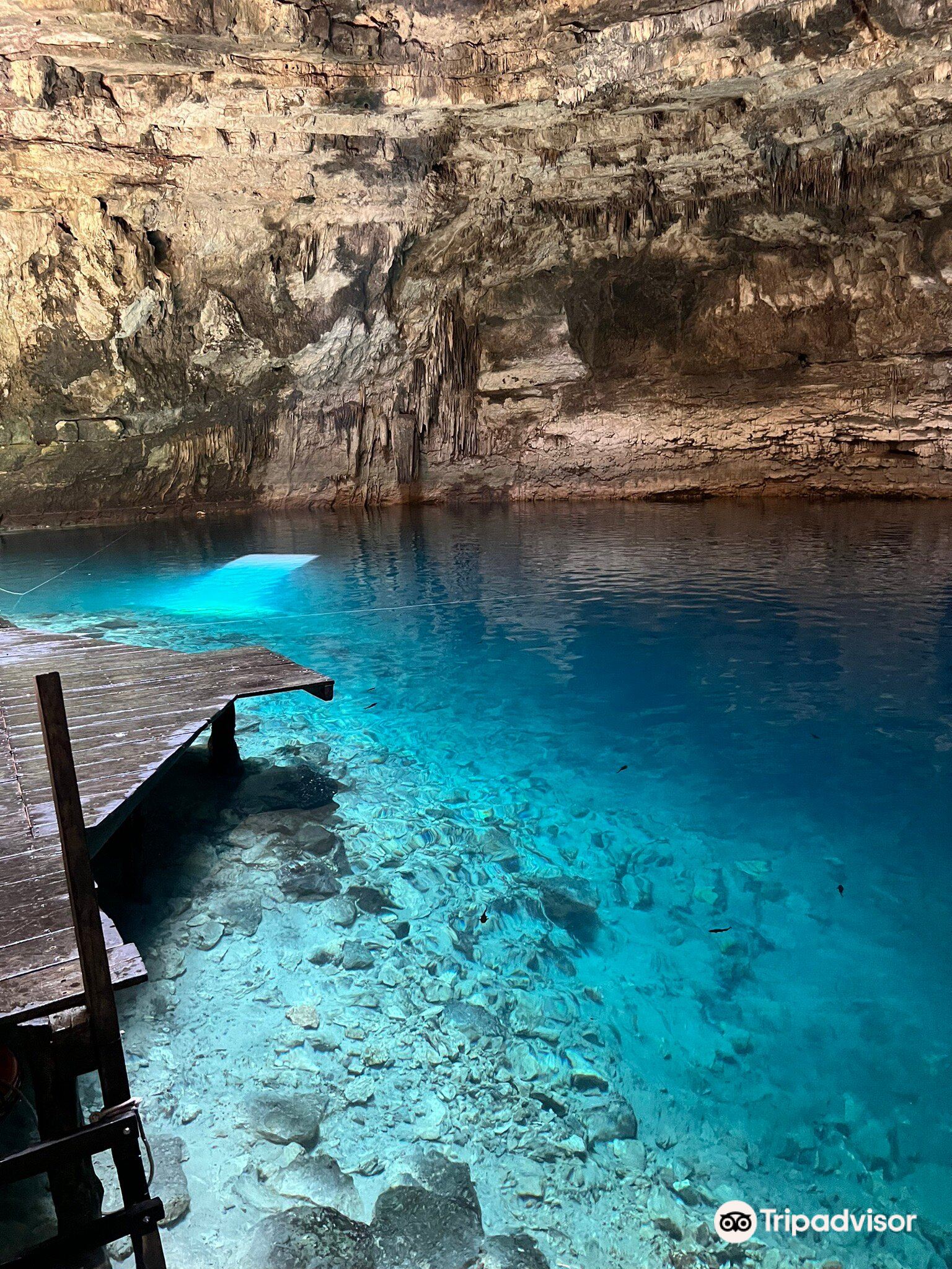 最新】Cenote Xux Ha - チケット、営業時間、口コミ、写真 [2025