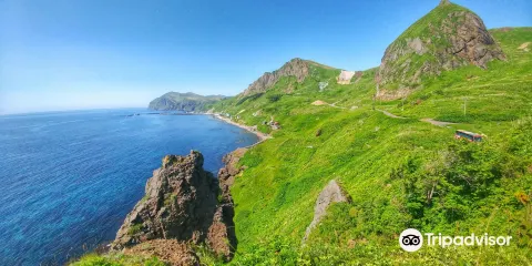 桃台貓台 展望台