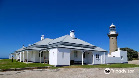 Montague Island