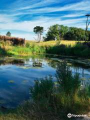 Het Zwin Natuur Park