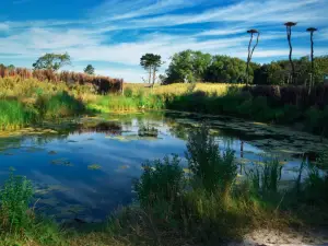 Het Zwin Natuur Park