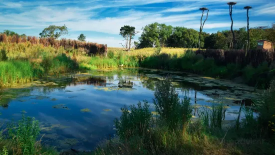 Het Zwin Natuur Park